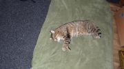 2017-04-08_151948-Large