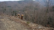 2017-04-08_171223-Large
