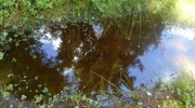 2017-07-29_142656-Large