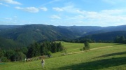 2017-07-29_173407-Large