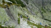2017-08-12_142718-Large