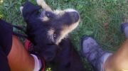 2017-08-26_174216-Large
