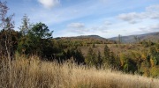 2017-10-14_103918-Large