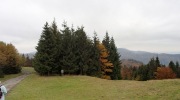 2017-10-14_142518-Large