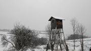 201-12-03_013-Large
