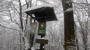 201-12-03_030-Large
