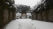 201-12-03_039-Large