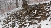 201-12-03_048-Large