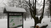 201-12-03_057-Large