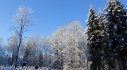 2017-12-30_091540-Large