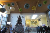 2018-12-08 Terma Bania