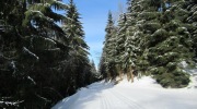 2019-02-23_103540-ve-velke-velikosti