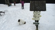 2019-02-23_132655-ve-velke-velikosti