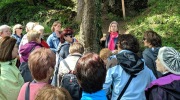 2019-05-24_111804-ve-velke-velikosti