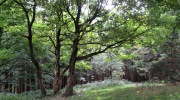 2019-09-29_111627-ve-velke-velikosti