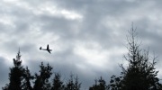 2019-09-29_112023-ve-velke-velikosti