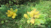 2019-09-29_112311-ve-velke-velikosti