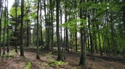 2019-09-29_114335-ve-velke-velikosti
