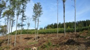 2019-09-29_114558-ve-velke-velikosti