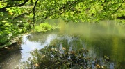 2019-09-29_123022-ve-velke-velikosti