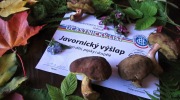 2019-09-29_153729-ve-velke-velikosti
