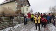 IMG_7676-ve-velke-velikosti