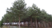 IMG_7999-ve-velke-velikosti