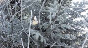 20200125_101704