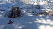 20200125_120305