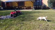 Vareni_grogu-7.3.-2026-1259
