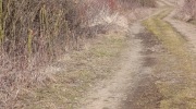 Vareni_grogu-7.3.-2026-491