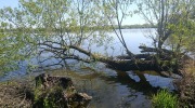 Polanka-nad-Odrou-Studenka-2.5.-2026-1043