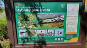 Polanka-nad-Odrou-Studenka-2.5.-2026-1208