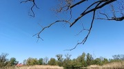 Polanka-nad-Odrou-Studenka-2.5.-2026-903