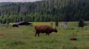 Sumava-28.6.-4.7.-2026-1280-