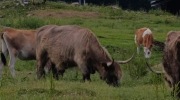 Sumava-28.6.-4.7.-2026-1293-