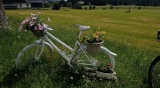 Sumava-28.6.-4.7.-2026-1329-