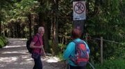 Sumava-28.6.-4.7.-2026-2366-