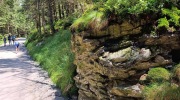 Sumava-28.6.-4.7.-2026-2385-