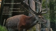 Sumava-28.6.-4.7.-2026-3022-