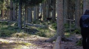 Sumava-28.6.-4.7.-2026-3049-