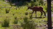 Sumava-28.6.-4.7.-2026-3083-
