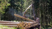 Sumava-28.6.-4.7.-2026-3450-