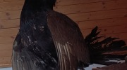 Sumava-28.6.-4.7.-2026-817-