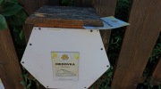 Janackove-chodnicky-50rocnik-2547