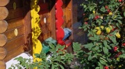 Janackove-chodnicky-50rocnik-2569