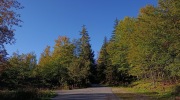 Javornicky-vyslap-3.10.-2026-13.rocnik-447