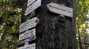 Javornicky-vyslap-3.10.-2026-13.rocnik-502