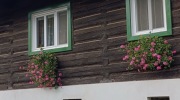Vsetin-Jesenice-Vsetin-10.10.-2026-3788