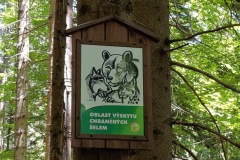 CYKLO-21.6.-2025-2025-BESKYDY-2919-ve-velke-velikosti
